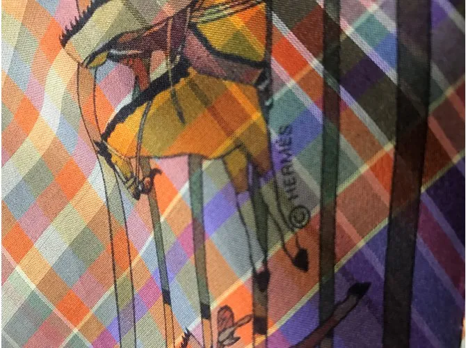 Hermès PANI LA SHAR PAWNEE Multicolor 