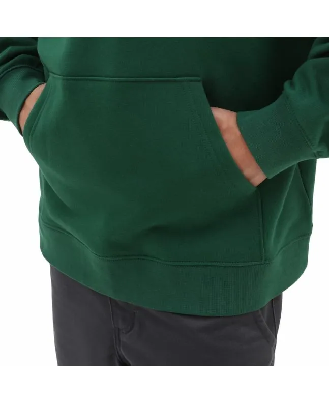 Sudadera con capucha Vans Skate Graphics Verde