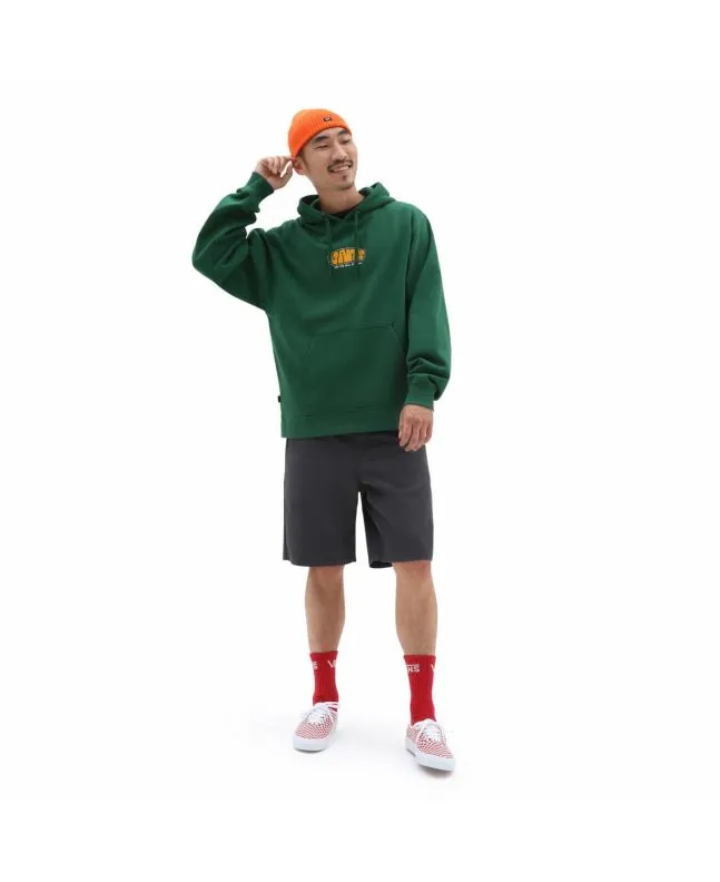 Sudadera con capucha Vans Skate Graphics Verde