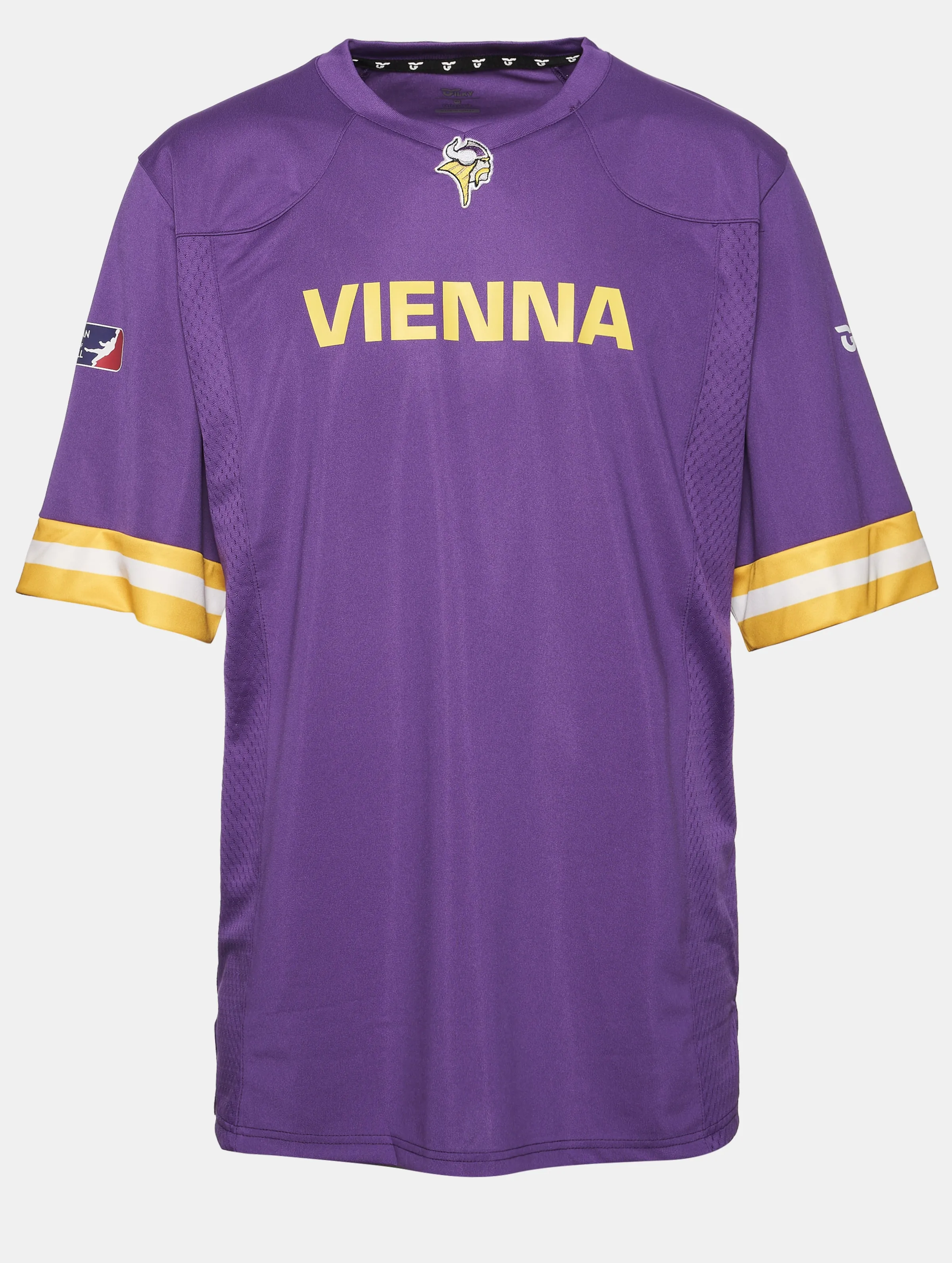Vienna Vikings Authentic Game