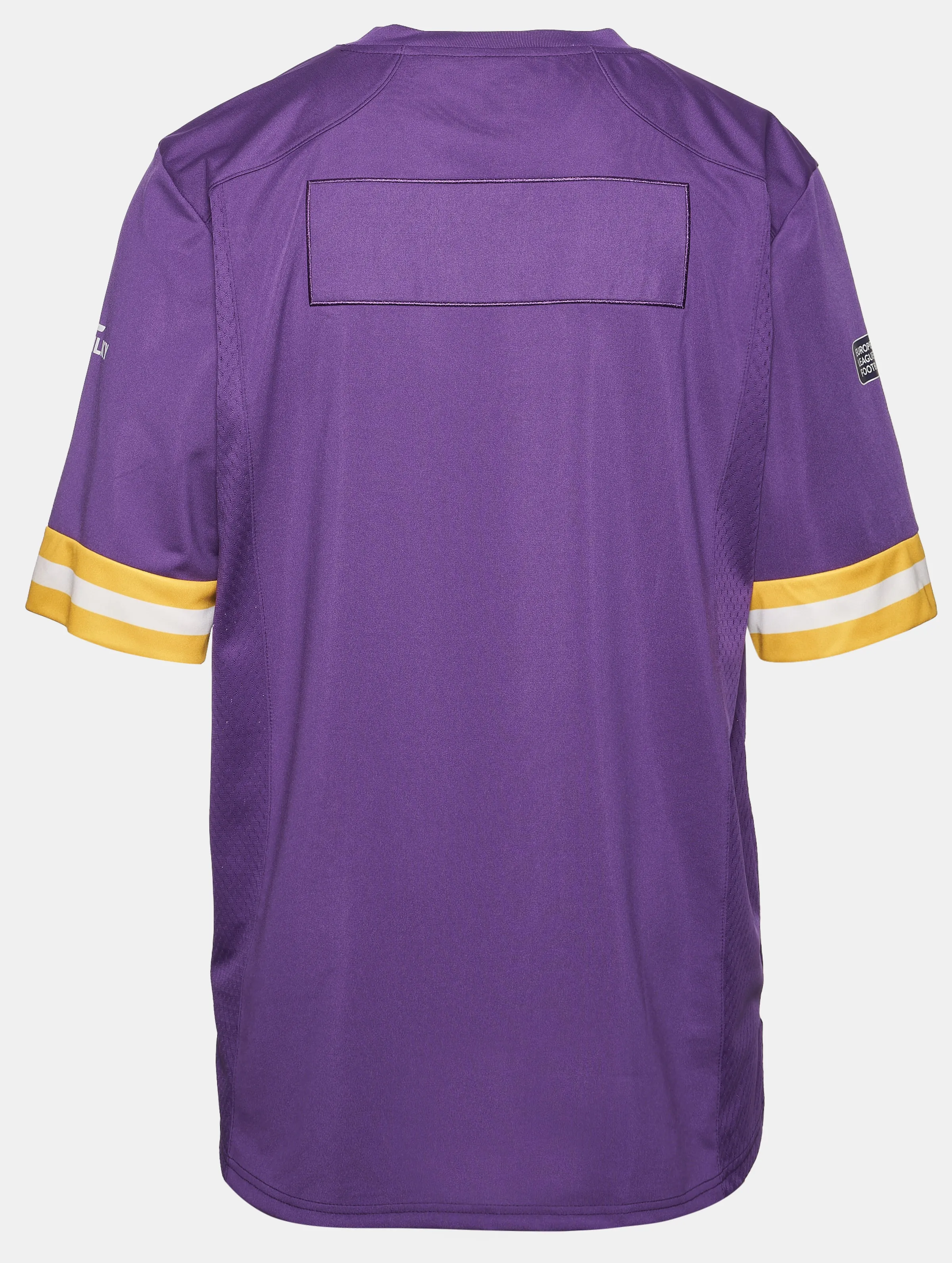 Vienna Vikings Authentic Game