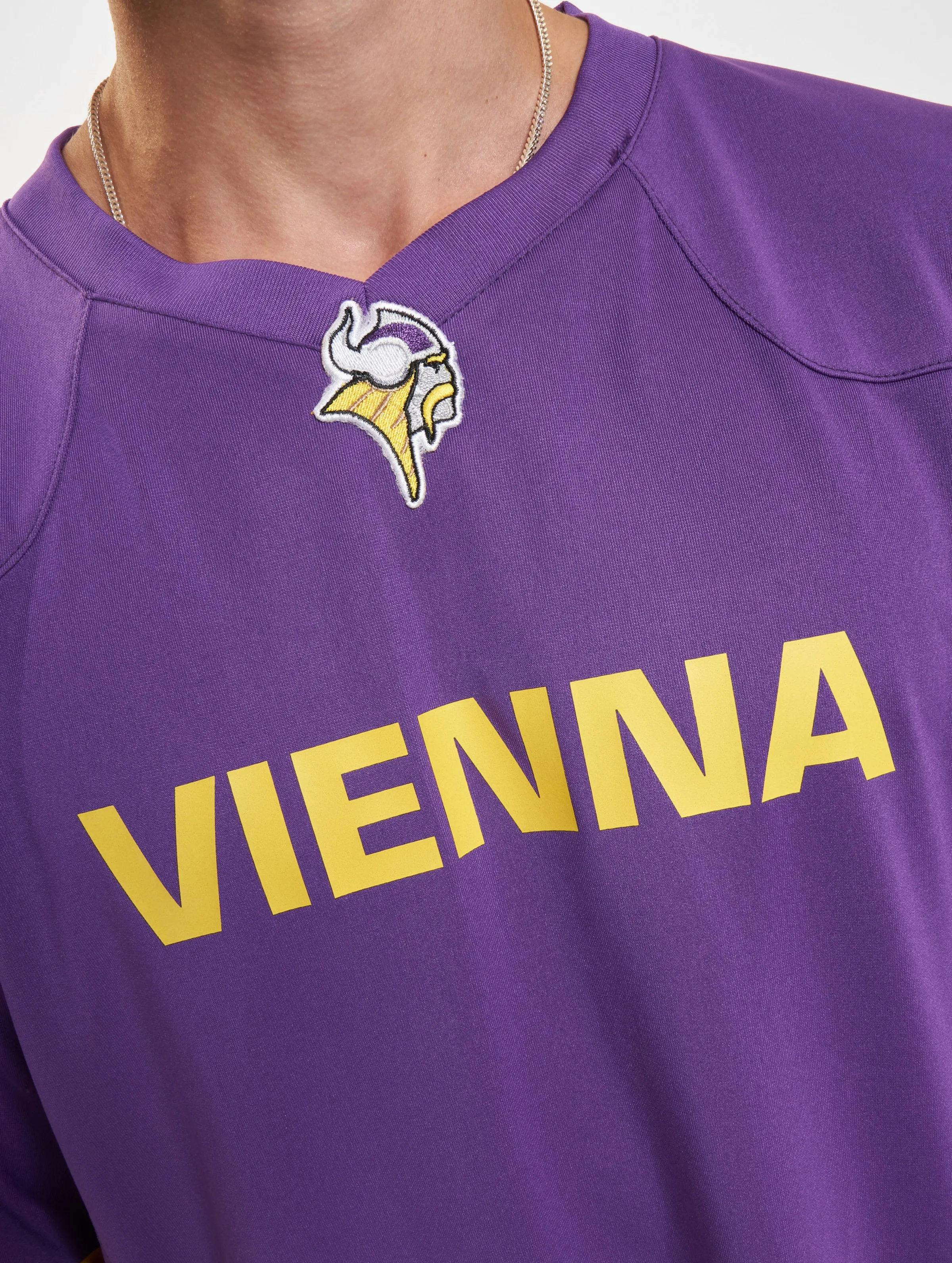 Vienna Vikings Authentic Game